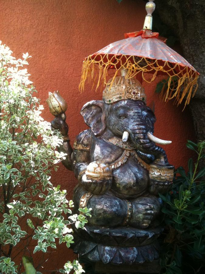 Villa Zenith Hostel - La Maison 拉卡诺 外观 照片